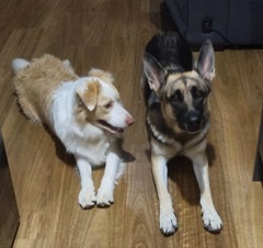 Duo