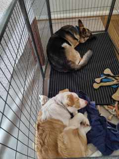 Sleep time