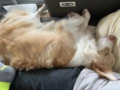 Upside down