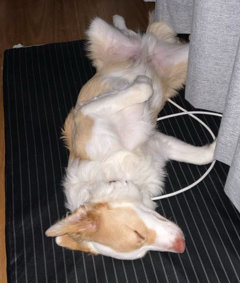 Sleepy